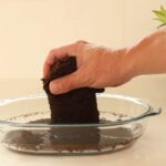 Planters' Choice 9 Herb Indoor Window Garden Kit - House Plants Seeds - Best Unique Easter Gift Ideas for Women, Mom, Friend, Her, Birthday, Housewarming, Mother - New Home Kitchen Gifts