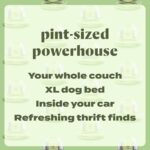 BISSELL Little Green Mini Portable Carpet and Upholstery Deep Cleaner, Car/Auto Detailer, with HydroRinse Self-Cleaning Tool and 4" Tough Stain Tool, Tea Green, 4075 - Image 5