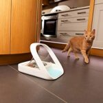 Control your existing outdoor lights or appliances from anywhere with the dual Outdoor Smart Plug. Ring Bridge, Ring Alarm Pro, Echo (4th Gen) or Echo Show 10 (3rd Gen) required to enable smart features, such as mobile notifications and customizable settings. Connect Outdoor Smart Plug to Ring Bridge to enable customizable smart controls in the Ring app and sync with other select Ring Smart Lights, Ring doorbells, cameras, and select Alexa-enabled devices. Dimensions: 4.92 in. x 3.14 in. x 1.96 in. (125mm x 80mm x 50mm) Power input: 120VAC, 60Hz / Power output: 120 VAC, 60Hz, Maximum loads across both outlets: 15A; ½ HP motor load, 1875 watt (resistance) Operating conditions: -4°F - 122°F (-20°C – 50°C), Weather Resistant IP66 (IP64 in-use)