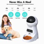 Dogs and Cats Feeder, Smart Automatic Pet Feeder Food Bowl Tank 6L Auto Pet Dry Food Dispenser 1~39 Portions Meal for Small and Large Pets (Black) - Image 5