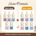 AROIC Car Air Freshener for Women, 6 Pack Air Freshener Diffuser, Hanging Air Fragrance Essential Oil Diffuser, Car Scents Accessories Cute Car Interior Decor, Romantic Valentines Day Gift for Her - Image 2