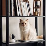 Kasa 1080p Indoor Pan/Tilt Wired Security Camera - Works as a Baby & Pet Monitor, Motion Detection & Tracking, 2-Way Audio, Night Vision, Subscription-Free Local Storage or Optional Cloud, EC70 - Image 5