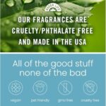 HoogaLife Car Air Freshener Diffuser 2 Pack Hanging Air Freshener Diffuser - Vanilla Cream Fragrance Oil Air D iffuser for Car, 45+ days Long Lasting Fragrance Made in USA C ar Air Fresheners (V54)